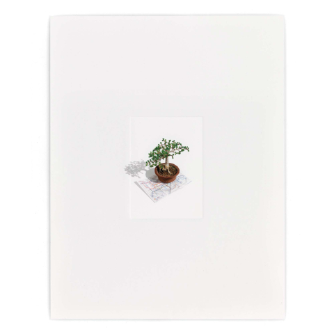 Pocket Tube Map Limited Edition Artwork by Runa Islam