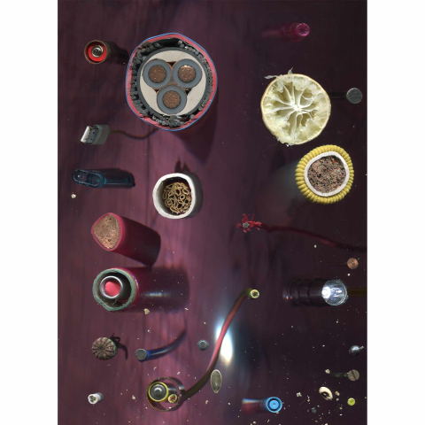 Untitled, 2016 Limited Edition Artwork by Samara Scott